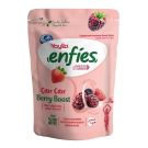 Yayla Enfies Freeze Böğürtlen 15 Gr