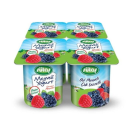 Sütaş Yoğurt Orman Meyveli 4x115 Gr