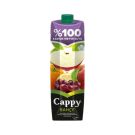 Cappy Meyve Suyu Elma Karışık 1 Lt