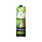 Cappy Meyve Suyu Ekşi Elma 1 Lt