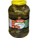 Aysan Kornişon Turşu 5000 Gr