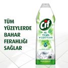 Cif Tüm Yüzeyler Temizleyici Bahar Ferahlığı 750 ml