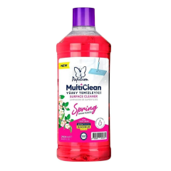 Papilion Spring Yüzey Temizleyici 2.5 Lt