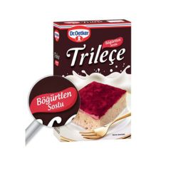 Dr. Oetker Böğürtlen Soslu Trileçe 315 Gr