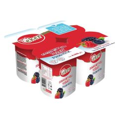 Eker Yoğurt Orman Meyveli Probiyotik 4x100 Gr