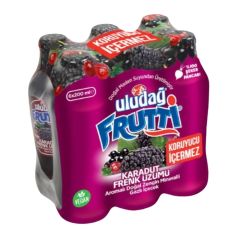 Uludağ Frutti Karadut & Frenk Üzümü 6x200 Ml