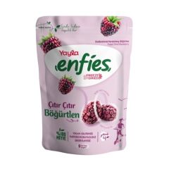 Yayla Kurutulmuş Böğürtlen 15 Gr