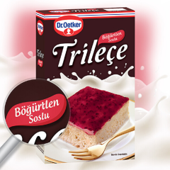 Dr. Oetker Böğürtlen Soslu Trileçe 315 Gr