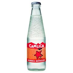 Çamlıca Kırmızı Meyveler Gazoz 200 ml