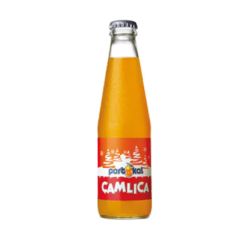 Çamlıca Portakal Aromalı Gazoz 200 ml