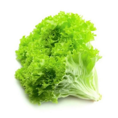 Kıvırcık Adet