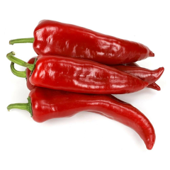 Biber Kırmızı Kapya Kg