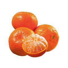 Mandalina King Kg