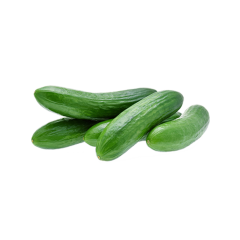 Salatalık Kg