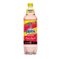 Uludağ Frutti Extra Orman Meyveleri Pet 1 lt