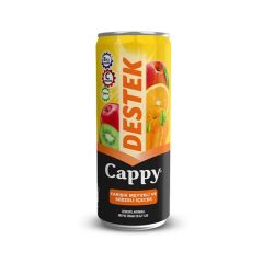 Cappy Destek Karışık Meyveli ve Sebzeli İçecek 330 ml